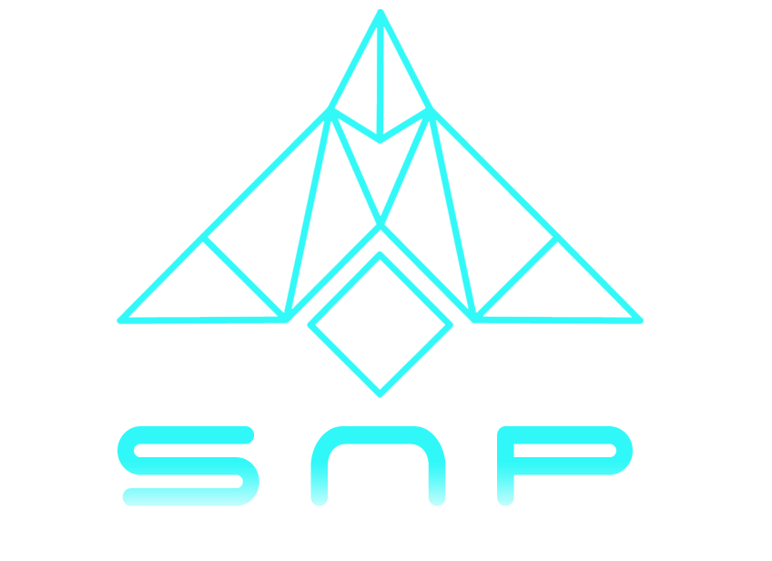 Simultaneous Network Protocol SRL